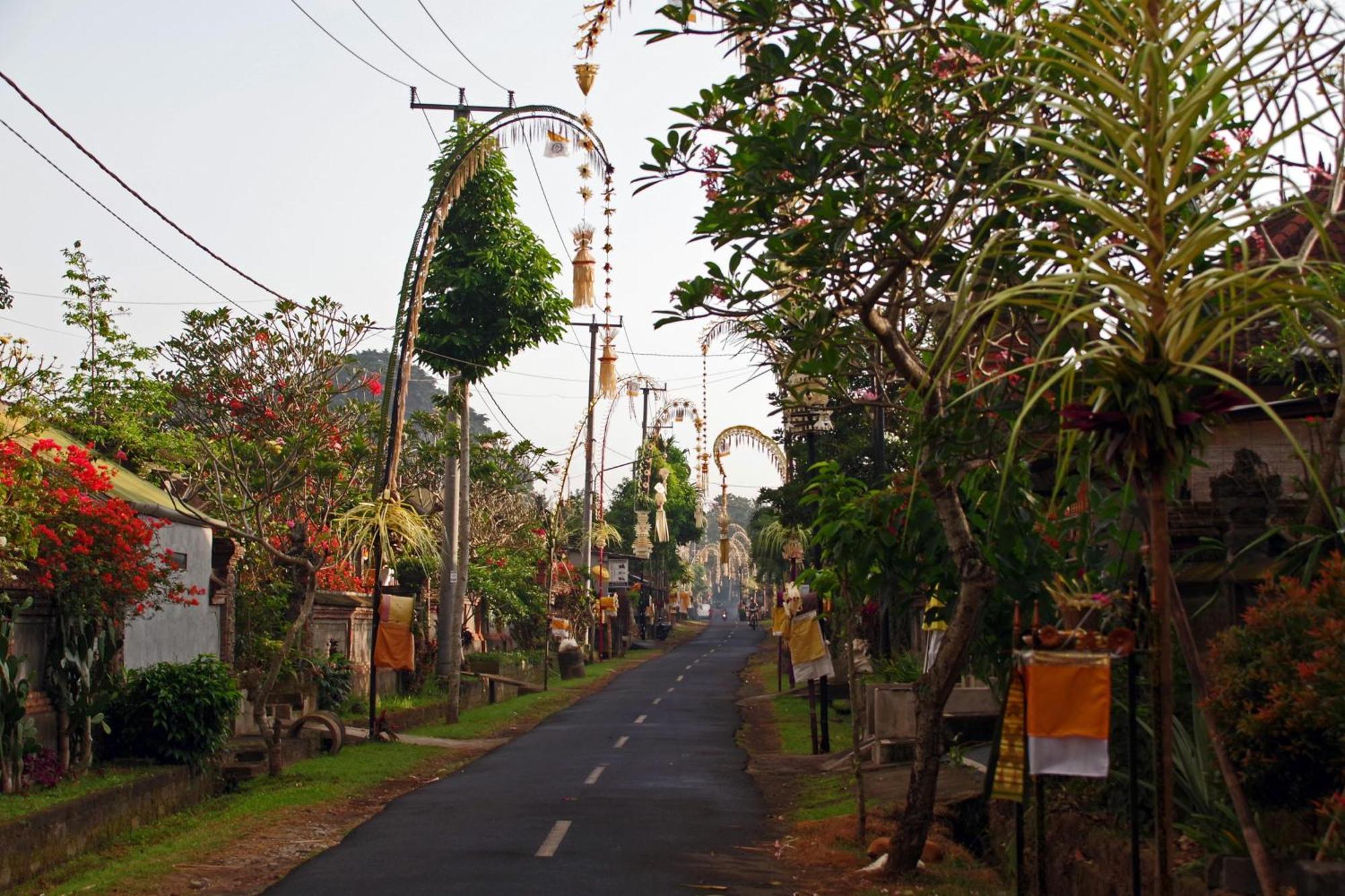 Ubad Retreat Hotel Ubud  Exterior photo